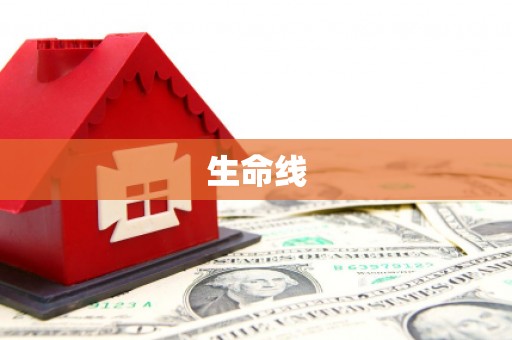 四湖生命线