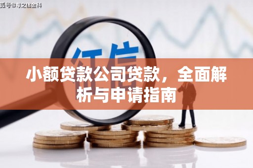 四湖小额贷款公司贷款，全面解析与申请指南