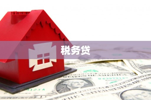 四湖税务贷