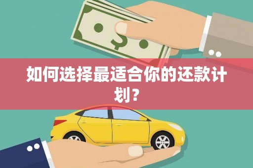 四湖如何选择最适合你的还款计划？