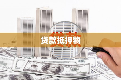 四湖贷款抵押物