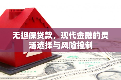 四湖无担保贷款，现代金融的灵活选择与风险控制
