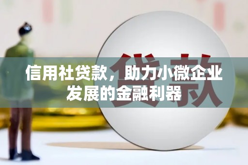 四湖信用社贷款，助力小微企业发展的金融利器