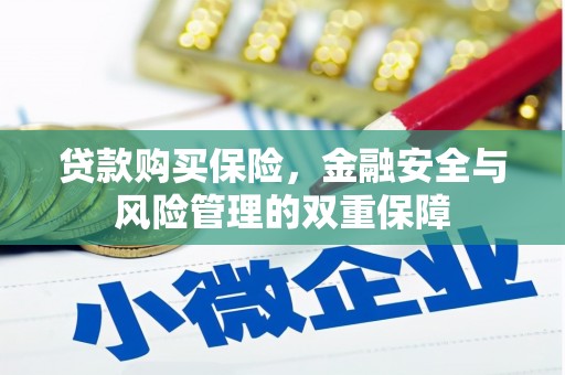 四湖贷款购买保险，金融安全与风险管理的双重保障