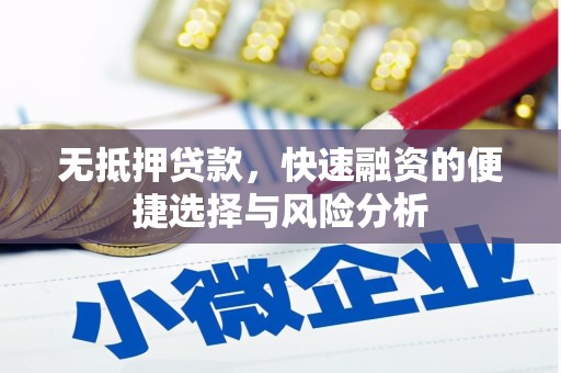 四湖无抵押贷款，快速融资的便捷选择与风险分析