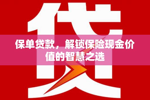 四湖保单贷款，解锁保险现金价值的智慧之选