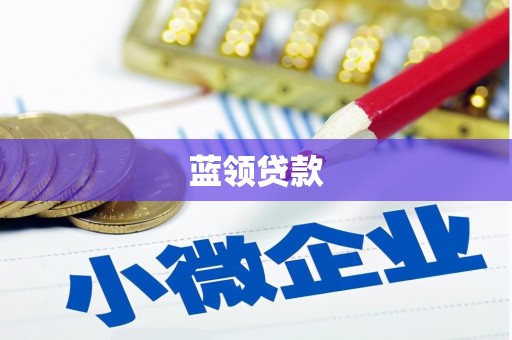四湖蓝领贷款
