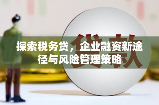 四湖探索税务贷，企业融资新途径与风险管理策略