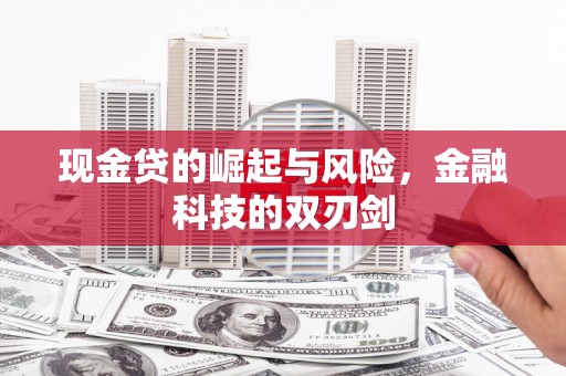 四湖现金贷的崛起与风险，金融科技的双刃剑
