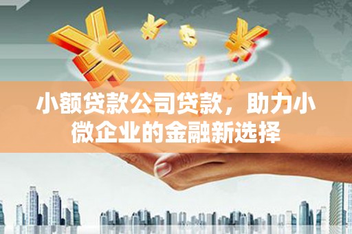 四湖小额贷款公司贷款，助力小微企业的金融新选择