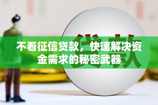 四湖不看征信贷款，快速解决资金需求的秘密武器