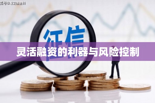 四湖灵活融资的利器与风险控制