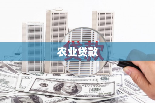 四湖农业贷款