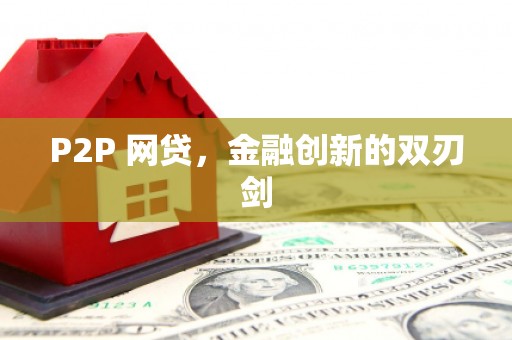 四湖P2P 网贷，金融创新的双刃剑
