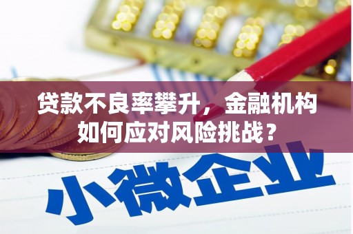 四湖贷款不良率攀升，金融机构如何应对风险挑战？