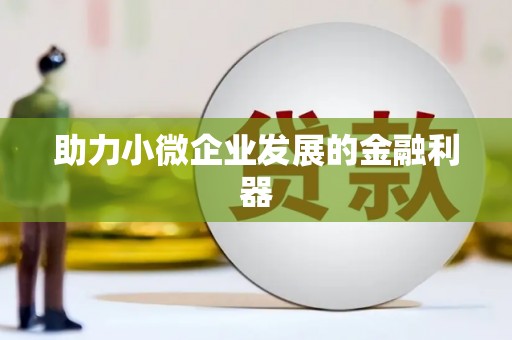 四湖助力小微企业发展的金融利器