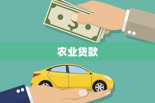 四湖农业贷款