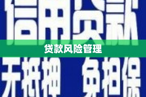 四湖贷款风险管理