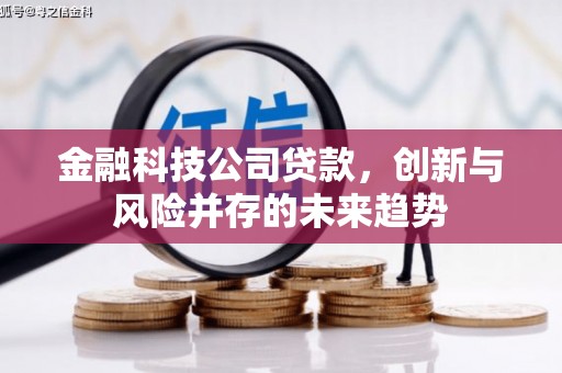 四湖金融科技公司贷款，创新与风险并存的未来趋势