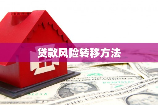 四湖贷款风险转移方法
