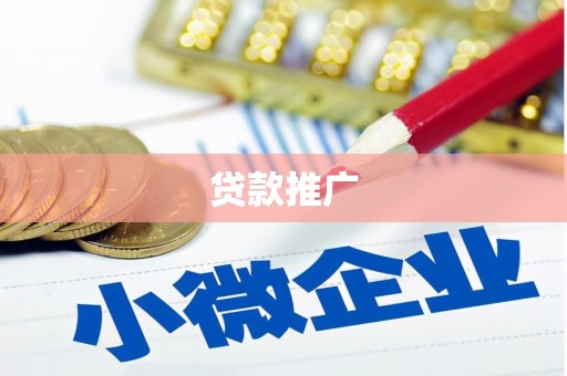 四湖贷款推广