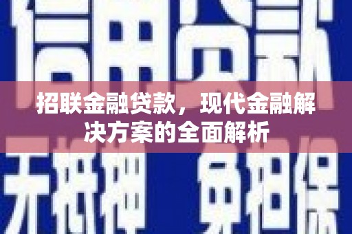 四湖招联金融贷款，现代金融解决方案的全面解析