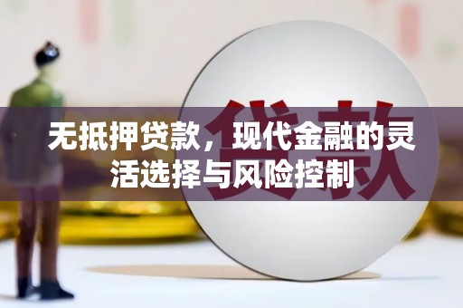 四湖无抵押贷款，现代金融的灵活选择与风险控制