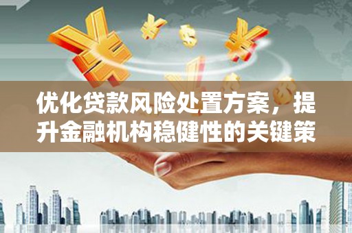 四湖优化贷款风险处置方案，提升金融机构稳健性的关键策略