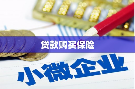 四湖贷款购买保险