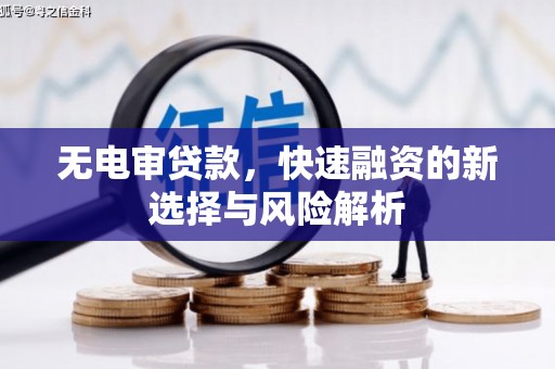 四湖无电审贷款，快速融资的新选择与风险解析