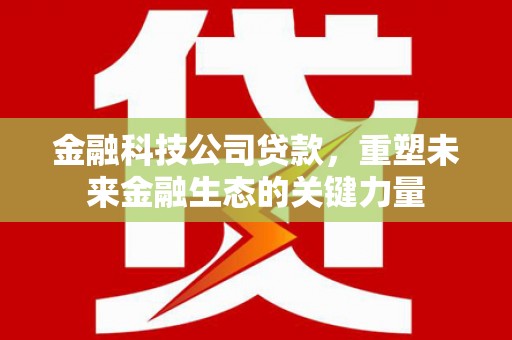 四湖金融科技公司贷款，重塑未来金融生态的关键力量
