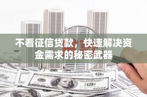 四湖不看征信贷款，快速解决资金需求的秘密武器