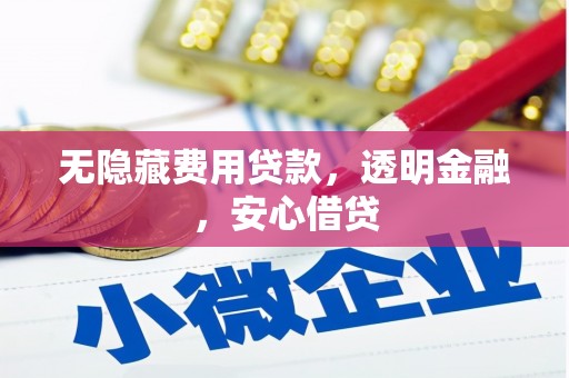四湖无隐藏费用贷款，透明金融，安心借贷