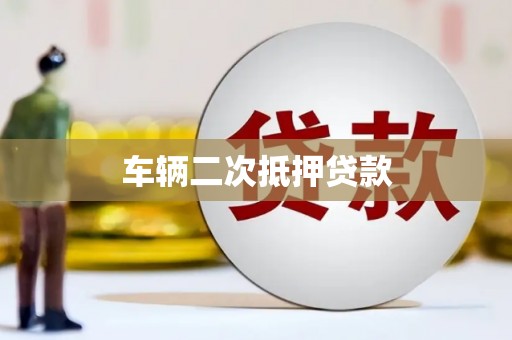四湖车辆二次抵押贷款