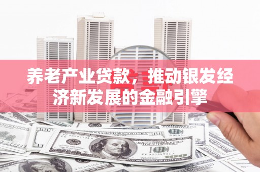 四湖养老产业贷款，推动银发经济新发展的金融引擎