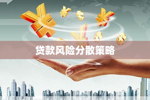 四湖贷款风险分散策略