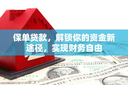 四湖保单贷款，解锁你的资金新途径，实现财务自由