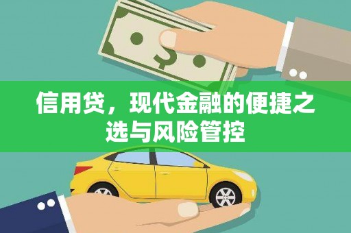 四湖信用贷，现代金融的便捷之选与风险管控