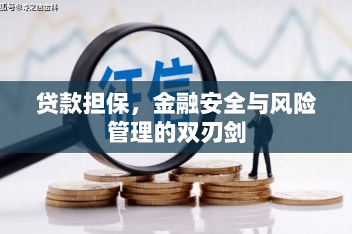 四湖贷款担保，金融安全与风险管理的双刃剑