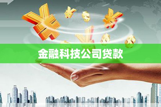 四湖金融科技公司贷款