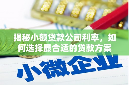 四湖揭秘小额贷款公司利率，如何选择最合适的贷款方案