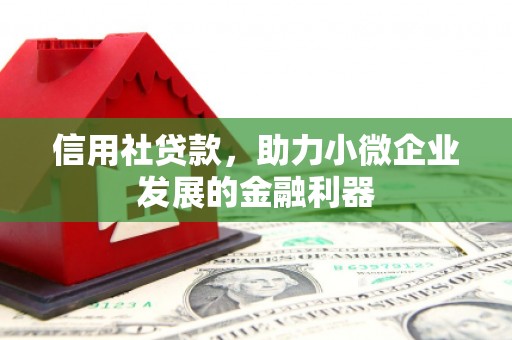 四湖信用社贷款，助力小微企业发展的金融利器
