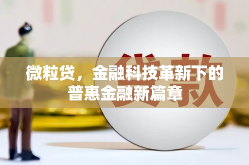 四湖微粒贷，金融科技革新下的普惠金融新篇章
