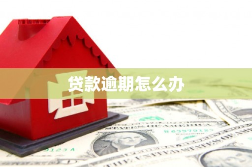 四湖贷款逾期怎么办