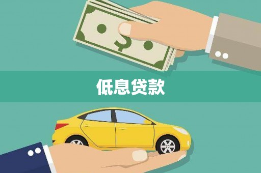 四湖低息贷款