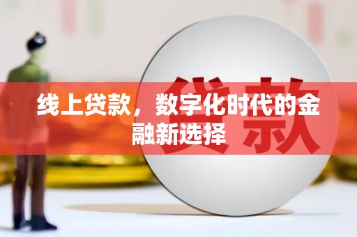 四湖线上贷款，数字化时代的金融新选择