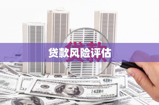 四湖贷款风险评估