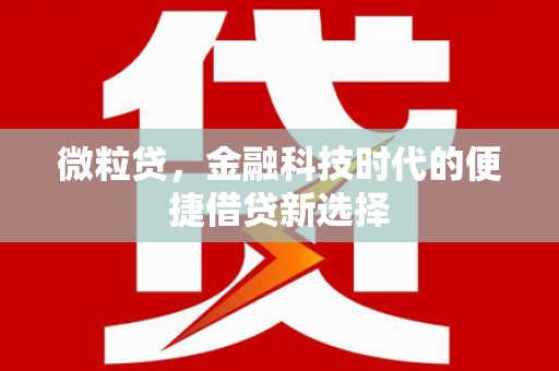 四湖微粒贷，金融科技时代的便捷借贷新选择