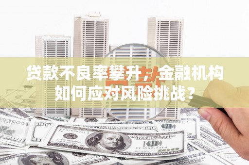 四湖贷款不良率攀升，金融机构如何应对风险挑战？