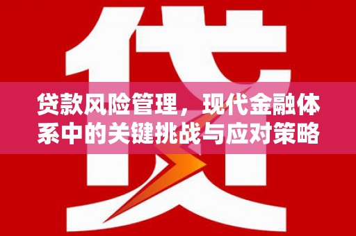 四湖贷款风险管理，现代金融体系中的关键挑战与应对策略